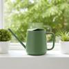 Watering Can Indoor for House Plant Small Watering Can with Long Spout Flower Model Sprinkler Indoor Plant Watering Pot