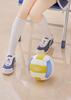 PLUMPMOA Blue Archive Marie (Gym Uniform) Memorial Lobby Ver. 1/7 Scale PVC Pre-painted Complete Figure PF336