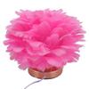 Plume Bedside Table Lamp E27 Decorative Modern Plume Night Light Nightstand Lamp for Living Room Bedroom Wedding Decor