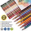 PANDAFLY Professional Colored Charcoal Pencils Drawing 24 Skin Tone Colored Pastel Chalk Pencils for and Blending Set, Colors, Pencils, Sketching,