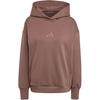 Women's ALL SZN BF HD Hoodie Brown IY6763