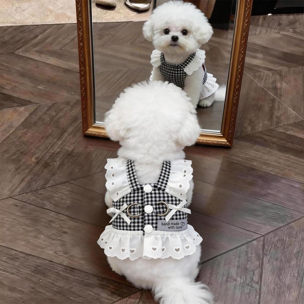 Sun Protection Lace Off-Shoulder Dress Thin Dog Princes Dress Flower Print Princess Skirt Anti-Static Puffy Skirt Small D...