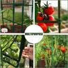 10PCS 8/11/16/20mm Universal Plastic Clips Plant Support Fixed Connector Pillar Gardening Fixed Bracket Climbing Pergola Connect