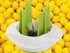 Lemon Slicer 1703 (80)