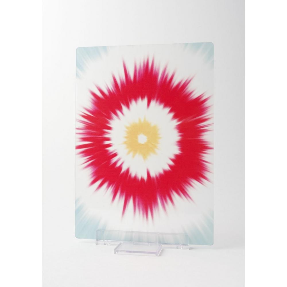 S.H.Figuarts Kamen Rider Takeshi Hongo Approx. 145mm ABS&PVC Painted Movable Figure