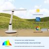 Panasonic Full Spectrum Eye-Care Desk Lamp