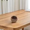 Hängender Kokosnussschalen-Blumentopf für Zimmerpflanzen Balkon Blumentopf Heimdeko Multifunktional Vielseitig Stabiles Seil Design