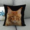 Uroczy zwierzęcy nadruk z kotem seria Sofa kreatywna poduszka prosta poduszka domowa impreza samochód