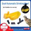 Thickened Half-Round Automatic Bird Water Bowl Feeder for Quails & Pigeons