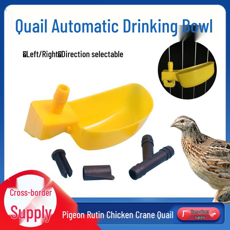 Thickened Half-Round Automatic Bird Water Bowl Feeder for Quails & Pigeons