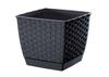 RATOLLA Square Flowerpot DRLK250 with Saucer | Anthracite