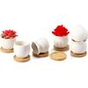Facecolor Mini Ceramic Cactus Planter Ceramic Set of Succulent Flower Ceramic Succulent Small Planter Pots for Mini Suitable for Mini Bamboo Saucer