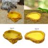 Reptile Water Bowl Resin Terrarium Habitat Decoration Terrarium Water Dish for Snake Tortoise Bearded Dragon Turtle Chameleon
