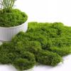 150g Fake Moss for Table Centerpieces Wedding Christmas Decorations