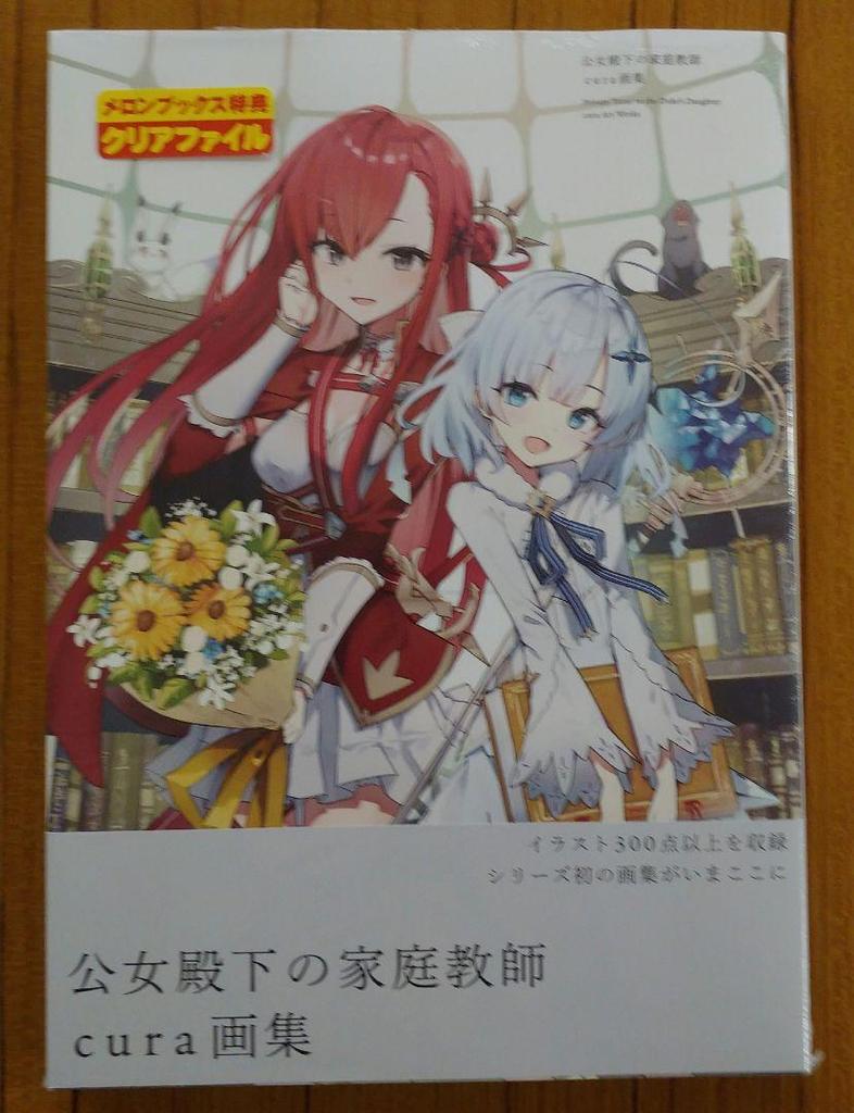 [USED] Her Highness' Private Tutor Cura Art Book Melon Books Limited Edition B2 Tapestry Clear File