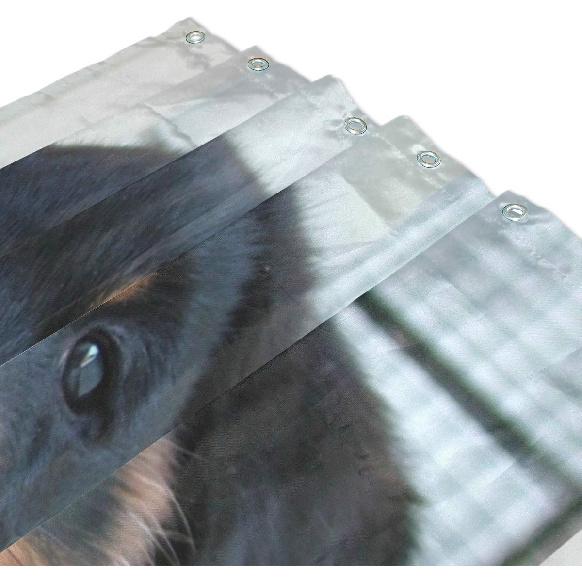 Vodotěsný sprchový závěs pro každodenní použití Roztomilá štěňata rotvajlera Koupelnová sada Polyesterová tkanina Sprchový závěs s háčky 60x72 palce