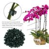 100PCS Plastic Plant Support Clips Orchid Stem Clip for Vine Support Vegetables Flower Tied Bundle Branch Clamping Garden Tool