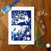Sportshop.Cyanotype Set Reates a Blueprint or Pictures with Cyanotype Kit  200ml