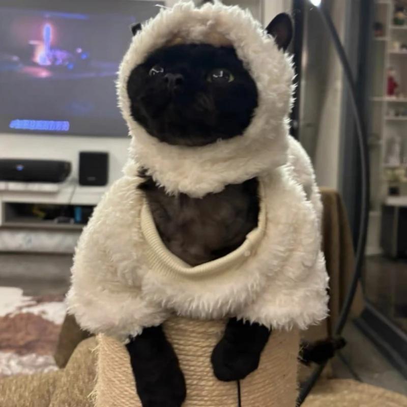 Cosplay Pecora Vestiti Gatto Fantasia Divertente Outfit Gatto Felpe Costume Animale Domestico Chat Travestimento Maglione Animali Accessori