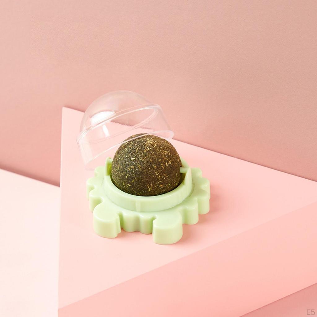 Katzenminz-Bälle Essbar Abnehmbar Drehbar Interaktiv für Snacks, Reinigung, Spielen, Kätzchen Kauen