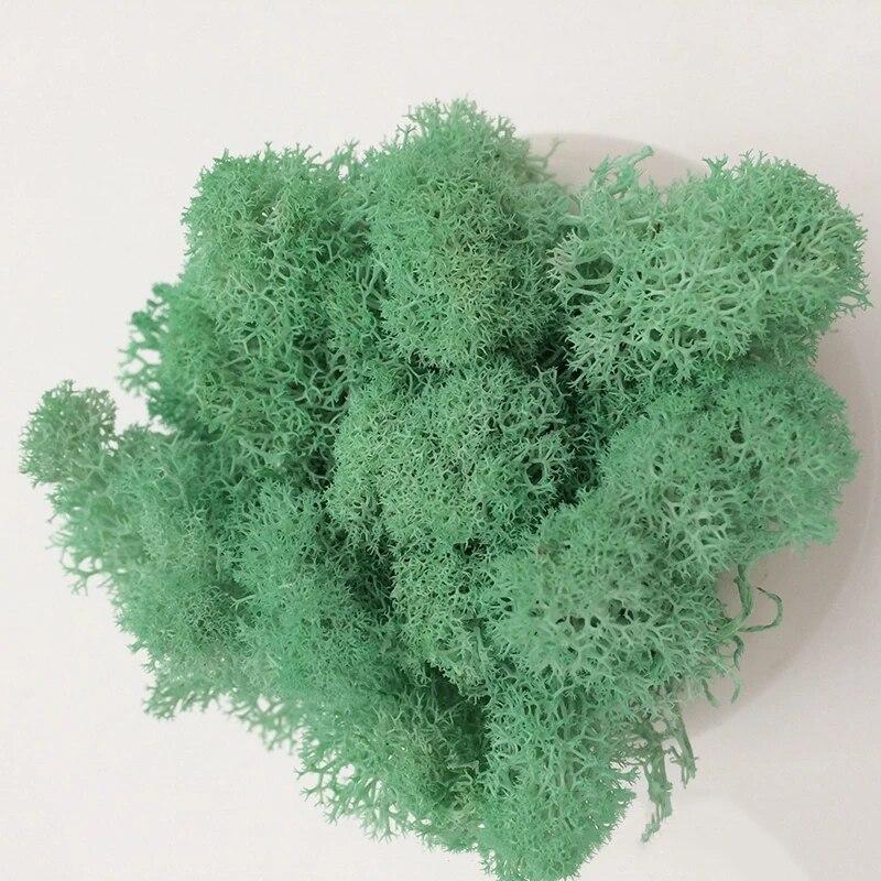 Handmade Artificial Plants Preserved Moss Simulation Fake Plant Garden Decor Landscape Wall Decor Home Decoration Accessories Gifts