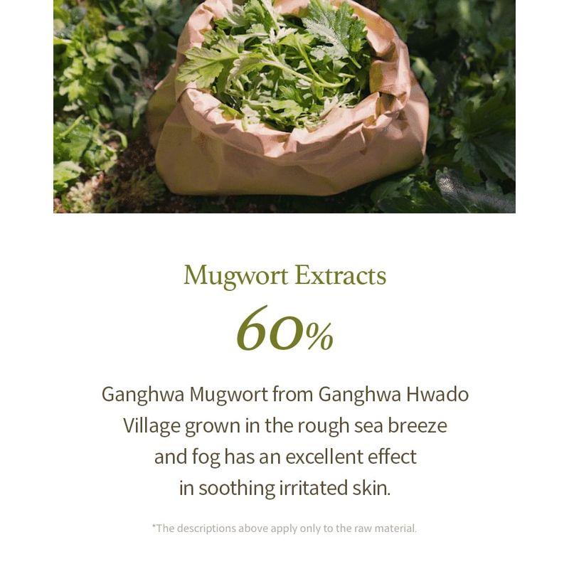 I'M FROM Mugwort Gel Cleanser