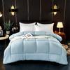 Slanket Flanellfleece Weich Erwachsene Bett Reversible Decke ohne Bezug Mikrofaser Weiche Bettdecke für Alle Jahreszeiten Maschinenwaschbar