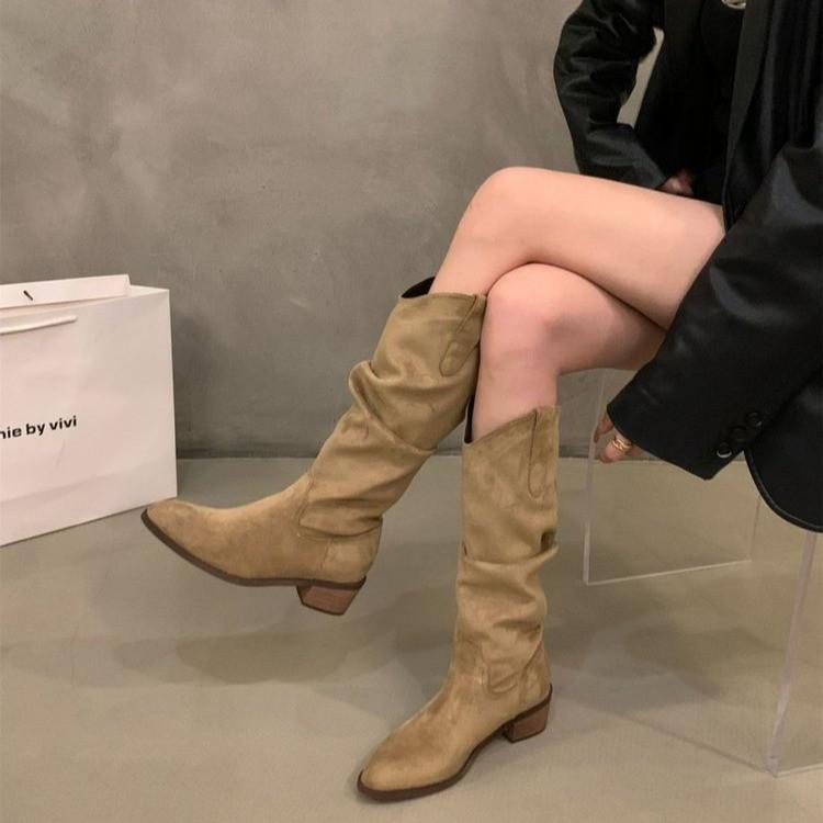 Women's boots Boots Women's 2025 autumn and winter new V-mouth Maillard but knee thick heel pointed pile boots