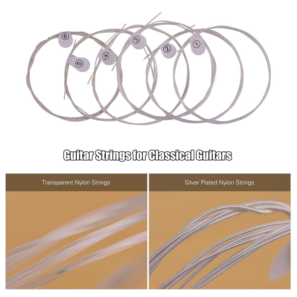 ZIKO DPA 70 Classical Guitar Strings Normal Light Tension Silver Wound Nylon String Anti Rust Set of 6pcs Musical