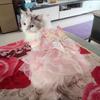 Pet Princess Gown for Cats and Small Dog Easy To Wear Butterfly Designs Cats Dress for Pet Birthdays and Photoshoots