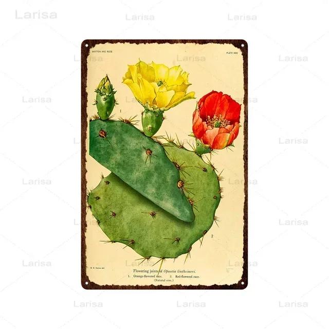 Vintage Floral Metal Plaque  Green Plants  Cactus Tin Sign  Wall Decoration for Garden Kitchen Living Room  Iron Painting Home D