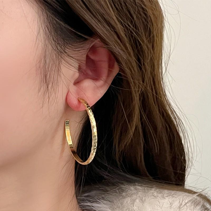 Women's Luxury Textured Metal Hoop Earrings - Versatile Niche Design