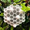 Fake Wasp Nest for Garden 3D Printed Realistic Red Hornet Decoy Nest, Weatherproof Physical Deterrent, Trap Chemical-Free Hanging Outdoor Eaves Trees