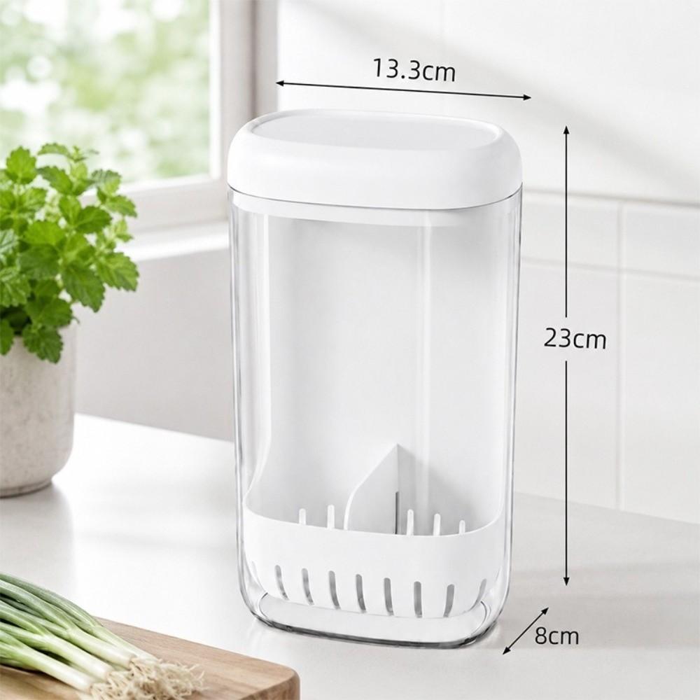Clear Fresh Keeping Box Scallion Garlic Use Water Culture Container Fridge Storage Box Kitchen Use