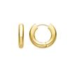 Luxenter Earrings and 18k Gold Plated - Saura