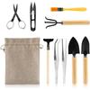 10 Pcs Gardening Bonsai Tools Set Succulent Garden Hand Tool Kit Plant Tool with Shovels Rakes Fork Scissor Cleaning Brush