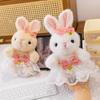 Xiaoxiangfeng Sitting Rabbit Plush Toy Cute Princess Dress Little Rabbit Rag Doll Girl Gift