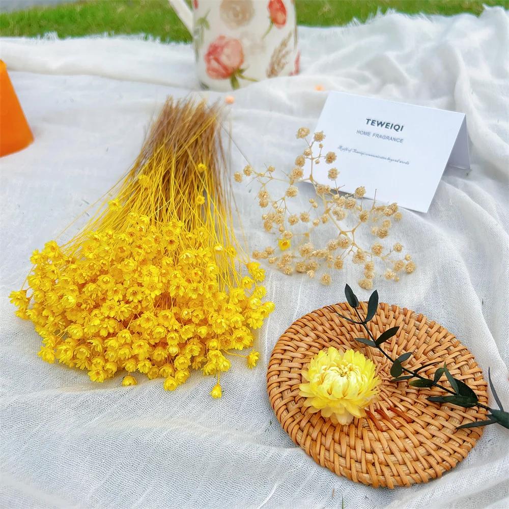 

200PCS Mini Flores Bouquet Brazilian Small Star Daisy Real Natural Dried Flower for DIY Epoxy Resin,Wedding Home Decorations 200PCS жовтий