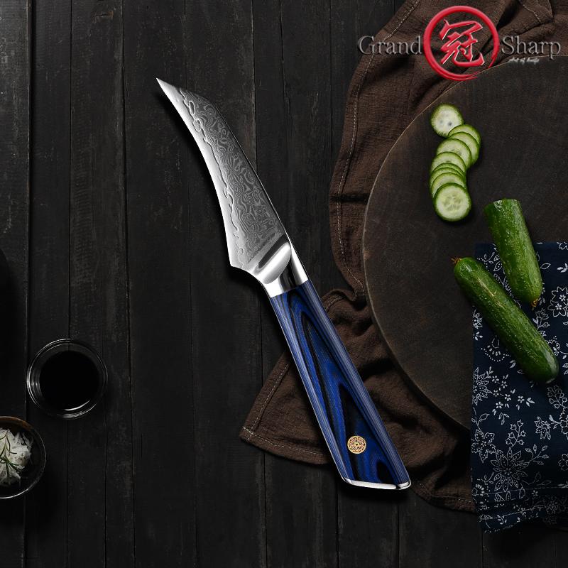 3,5-Zoll-Ausbeinmesser Japanischer VG10-Stahl 67 Schichten Damaststahl Küchenmesser Ausweidemesser mit G10-Griff GRANDSHARP