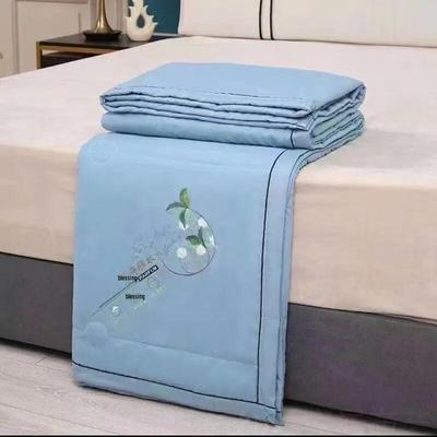 Lai Zhi Yi Ultra-Light Summer Quilt