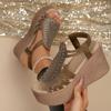 2026 Women Platform Sandals Fashion Wedge High Heels Sandals Woman Outdoor Crystal Summer Chunky Heel Big Size Shoes for Women