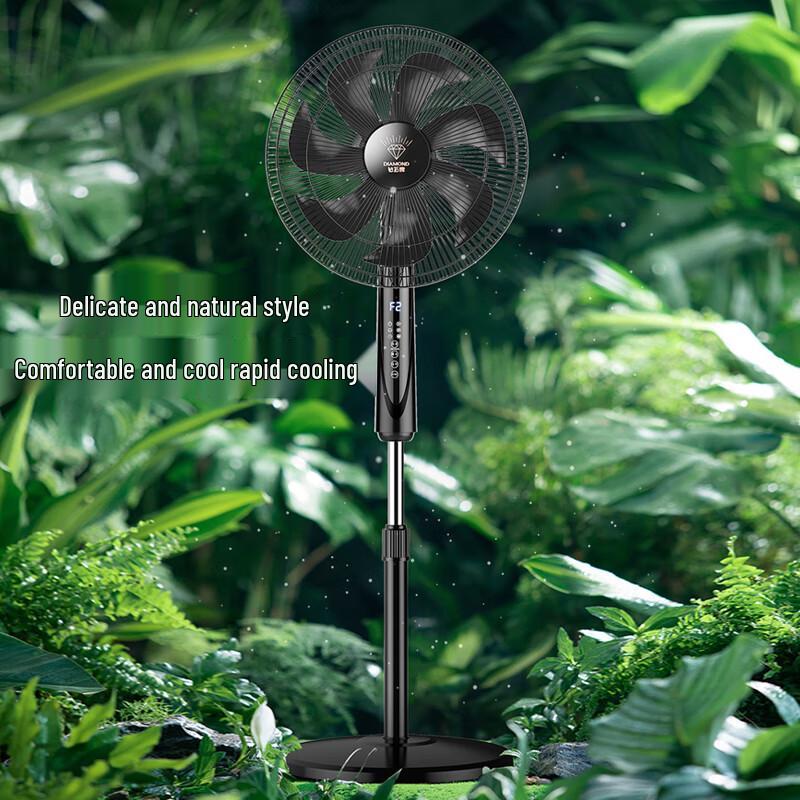 Diamond Smart DC Inverter Floor Fan CN Plug (adapter Included)