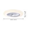 220V Remote Control APP Smart Ceiling Fan with Light Lamps Indoor Bedroom Modern Ultra-thin Decor 40W