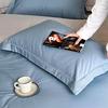 100% Cotton Pillowcase 48x74cm Hotel Grade Long Staple Xinjiang Sateen Weave Single Pack