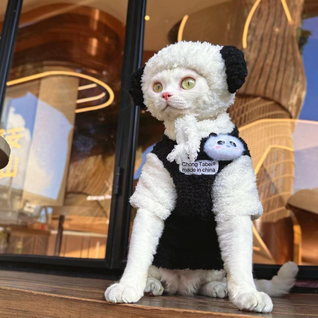 Autumn/Winter Warm Blue Cat Vest for Hairless Cats and Kittens