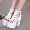 Fashion 14CM Women Sandals High Heels Summer Fashion Ankle Buckle Strap Female Gladiator Sandals Platform Shoes Block Heels