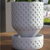 Plastic Succulent Plant Basin Root Control Plant Containers Green Onion Pots  Green Plants