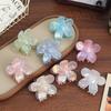 French Atmosphere~ Fairy Transparent Flower Hairpin Grab Clip Female Advanced Sense Back Head Shark Clip