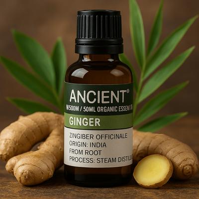 Ginger Essential Oil Organic Steam Distilled 50ml