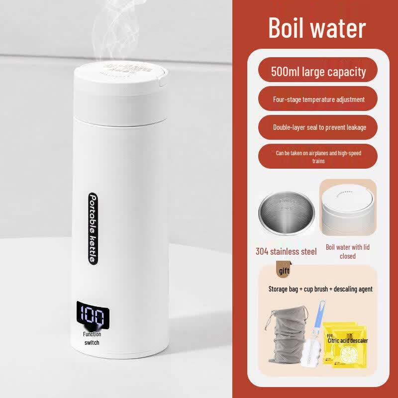 Youluo Portable Electric Travel Kettle with Temperature Control